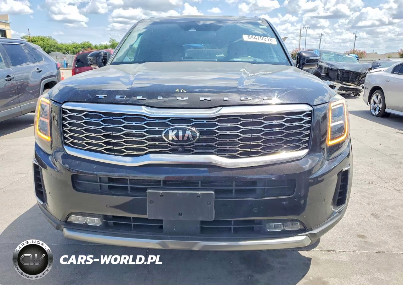 2020 Kia Telluride Sx VIN:5XYP5DHCXLG039831 - 5
