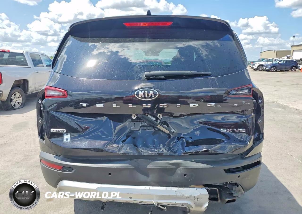 2020 Kia Telluride Sx VIN:5XYP5DHCXLG039831 - 6
