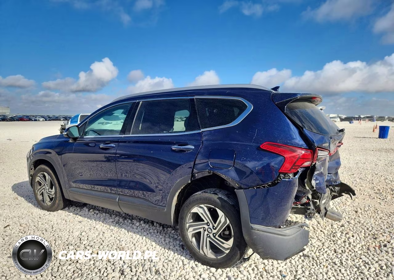 2023 Hyundai Santa Fe Sel VIN:5NMS24AJ5PH562956 - 2
