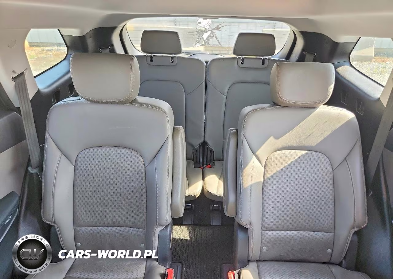 2019 Hyundai Santa Fe Xl Limited Ultimate VIN:KM8SR4HF4KU306317 - 10