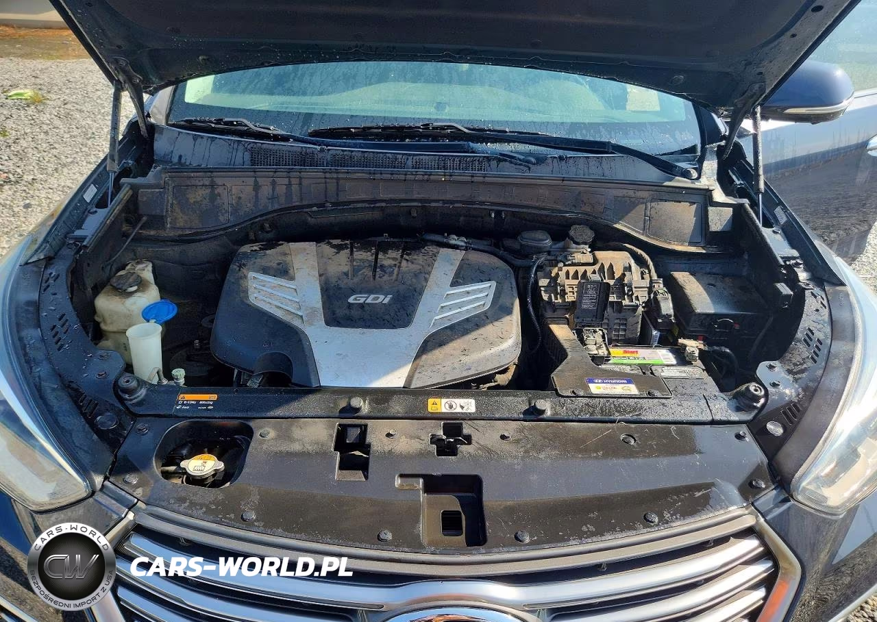 2019 Hyundai Santa Fe Xl Limited Ultimate VIN:KM8SR4HF4KU306317 - 12