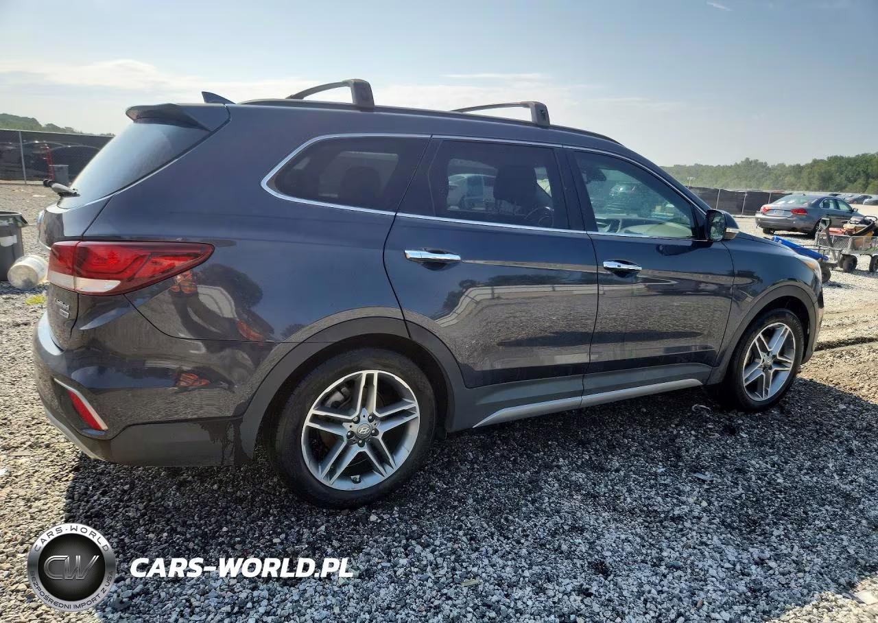 2019 Hyundai Santa Fe Xl Limited Ultimate VIN:KM8SR4HF4KU306317 - 3