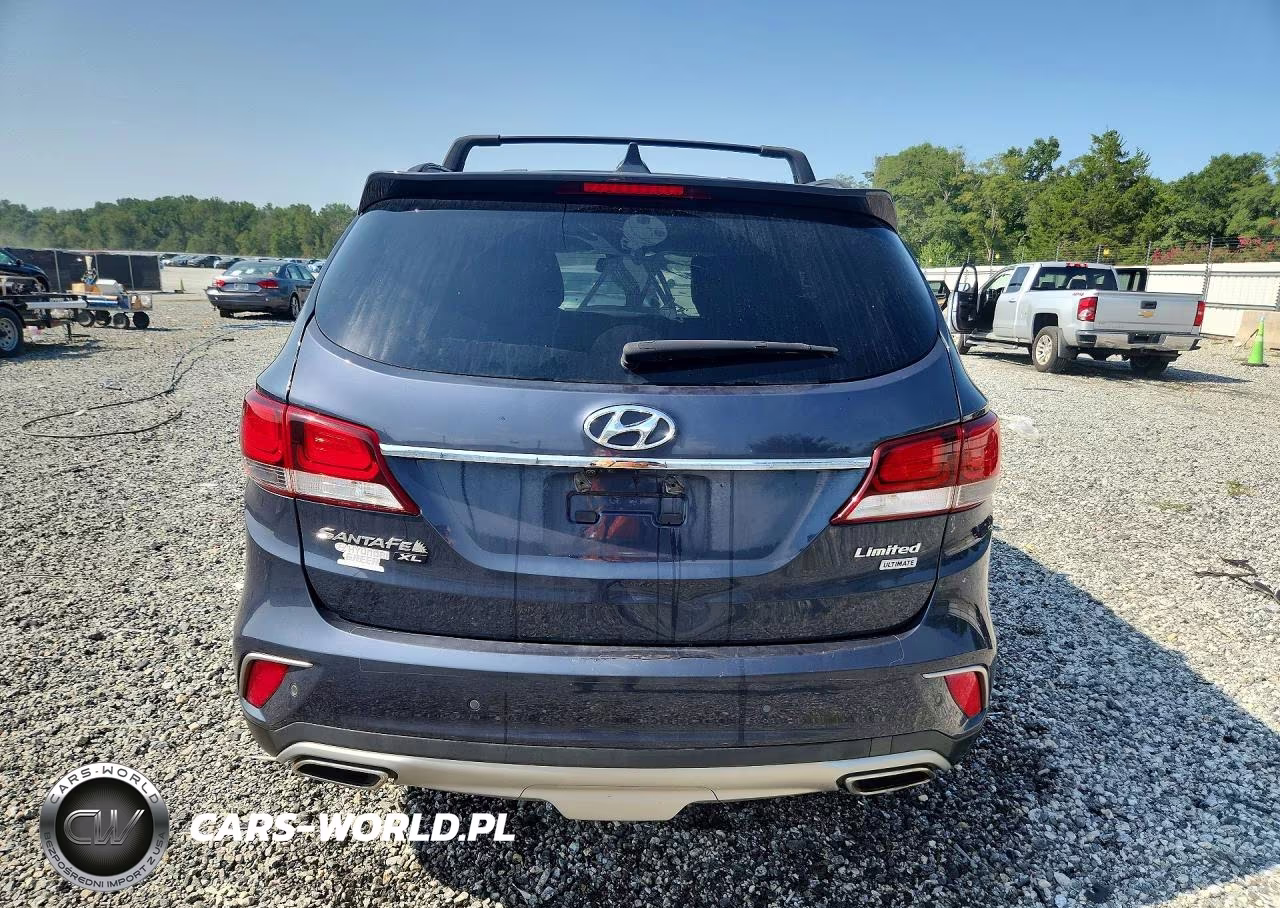 2019 Hyundai Santa Fe Xl Limited Ultimate VIN:KM8SR4HF4KU306317 - 6