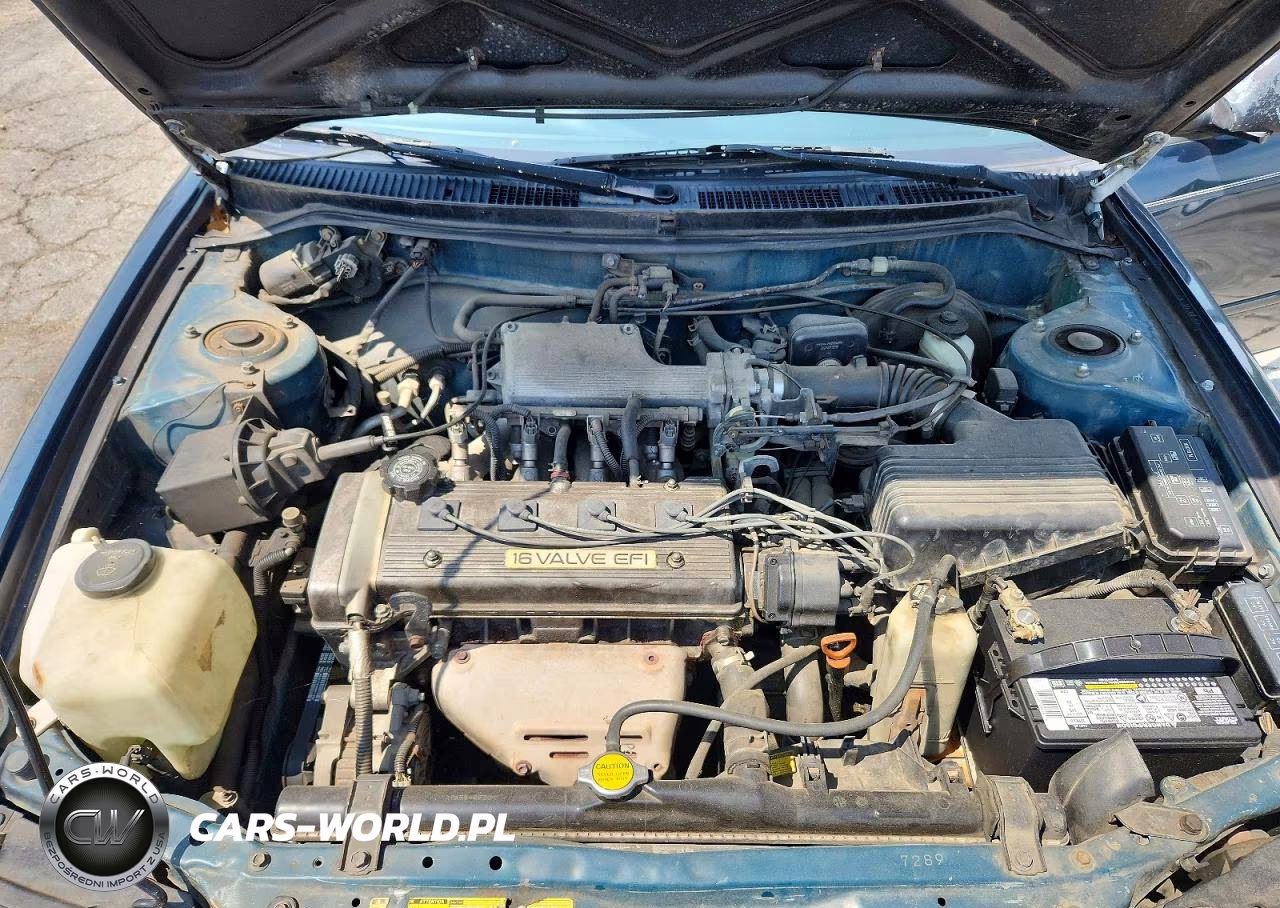 1994 Toyota Corolla Dx VIN:1NXAE09B9RZ135070 - 11