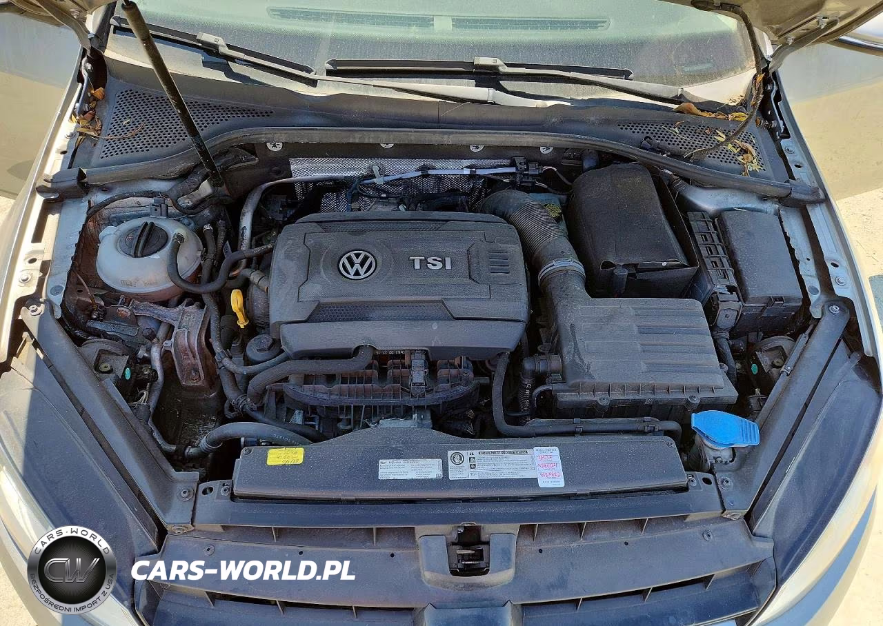 2016 Volkswagen Golf VIN:3VW217AU3GM026581 - 11