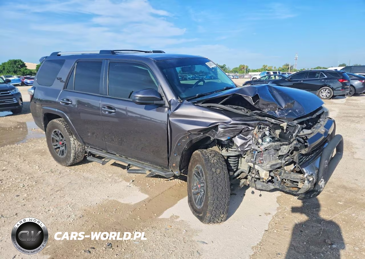 2017 Toyota 4Runner Trd Off-Road VIN:JTEBU5JR1H5441007 - 4