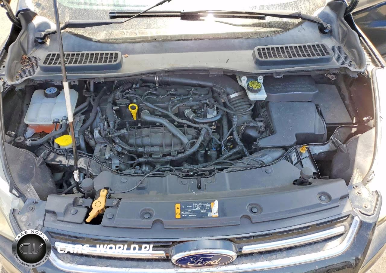 2013 Ford Escape Sel VIN:1FMCU0HX9DUA53194 - 12