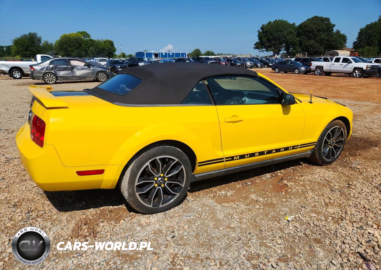 2006 Ford Mustang VIN:1ZVFT84N765139847 - 3