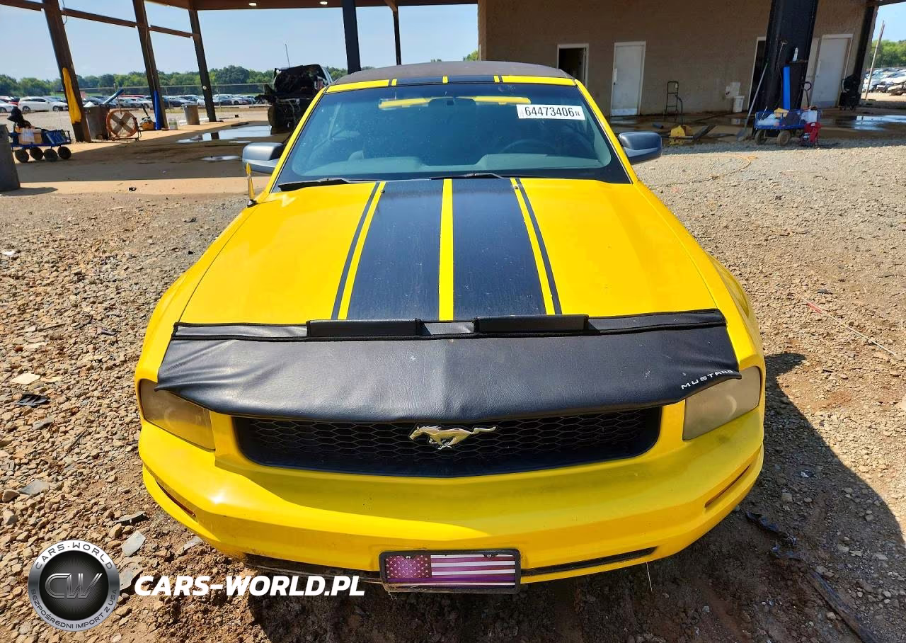 2006 Ford Mustang VIN:1ZVFT84N765139847 - 5
