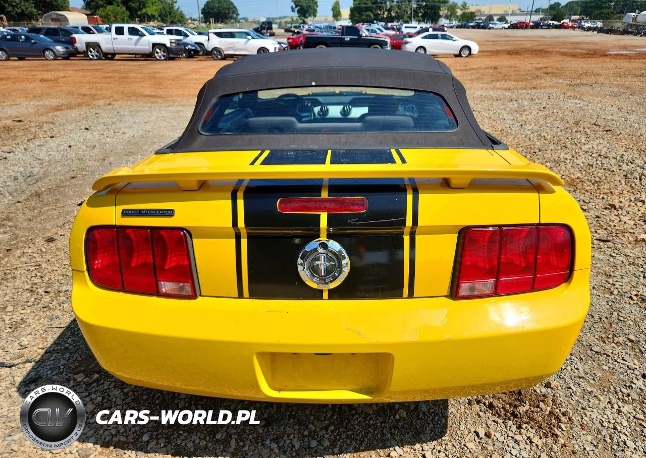 2006 Ford Mustang VIN:1ZVFT84N765139847 - 6