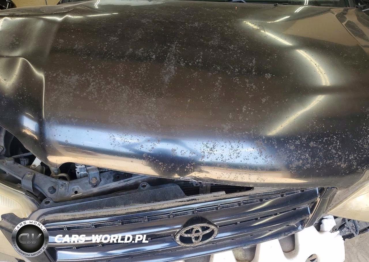 2001 Toyota Highlander Base VIN:JTEGF21AX10025212 - 12