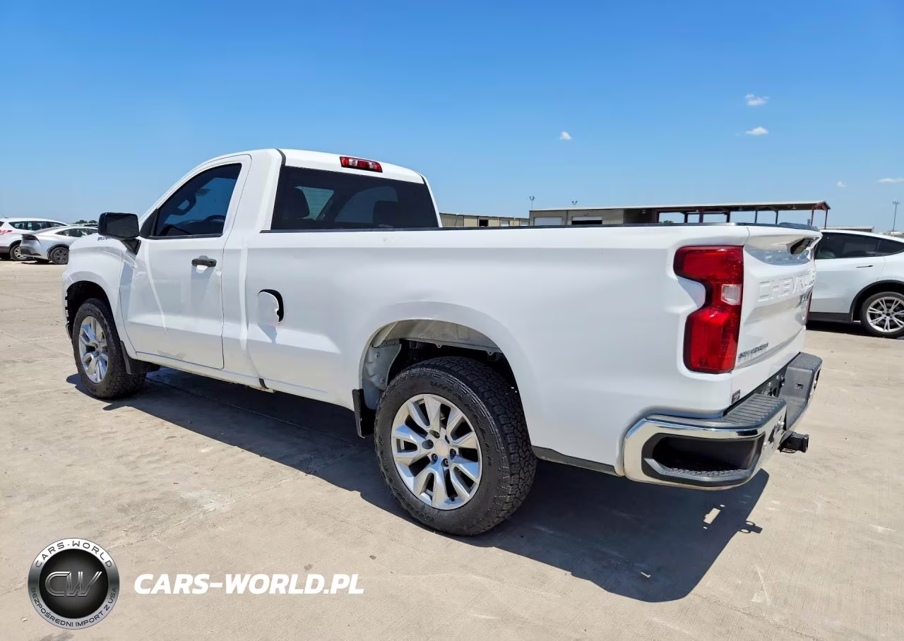 2020 Chevrolet Silverado C1500 VIN:3GCNWAEH1LG224581 - 2