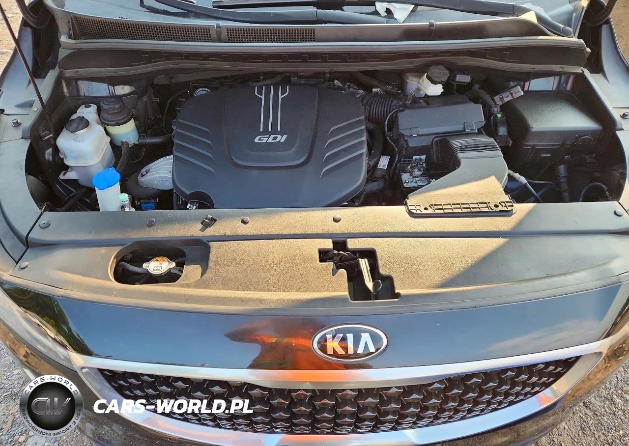 2015 Kia Sedona Lx VIN:KNDMB5C16F6069147 - 12