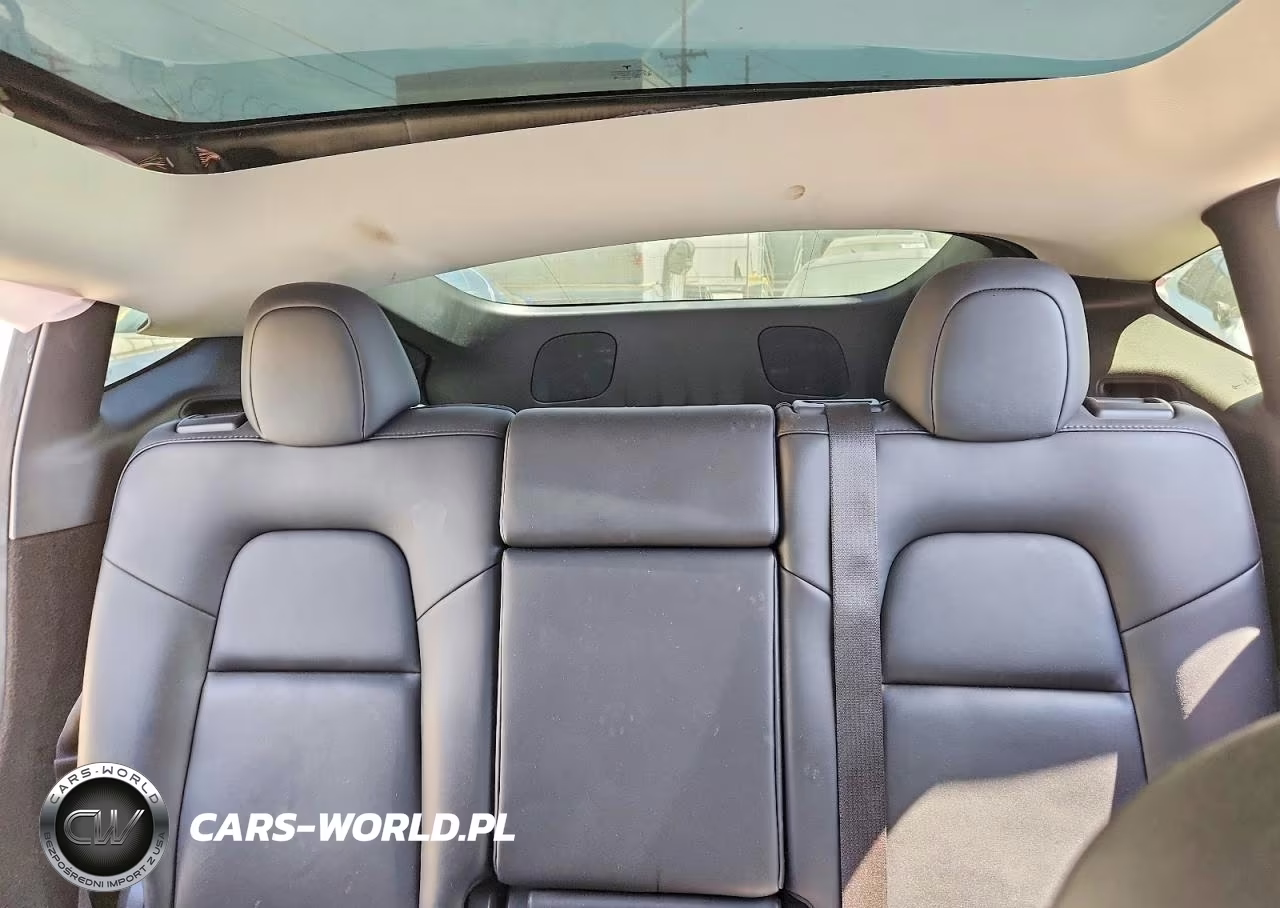 2023 Tesla Model Y VIN:7SAYGDEE9PF904051 - 10