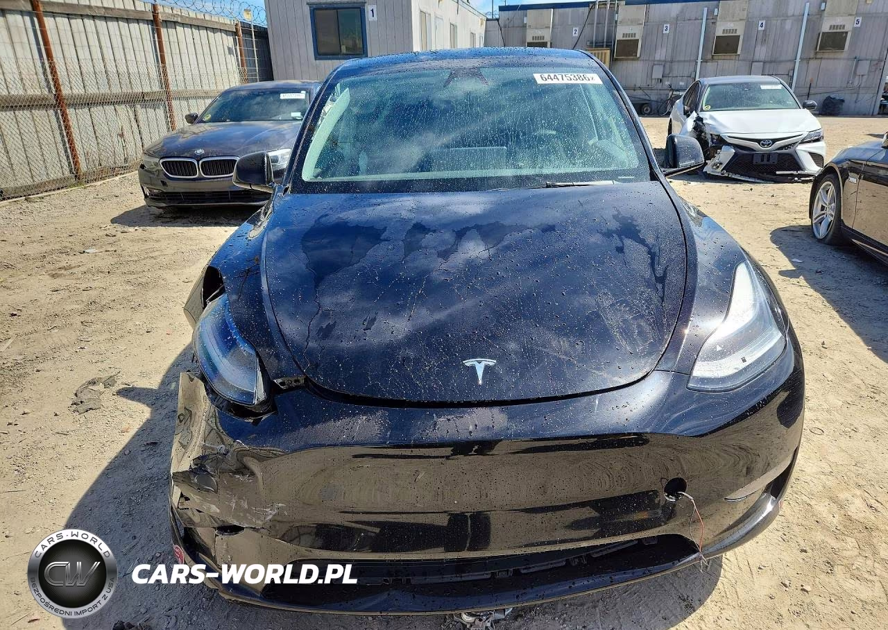 2023 Tesla Model Y VIN:7SAYGDEE9PF904051 - 5
