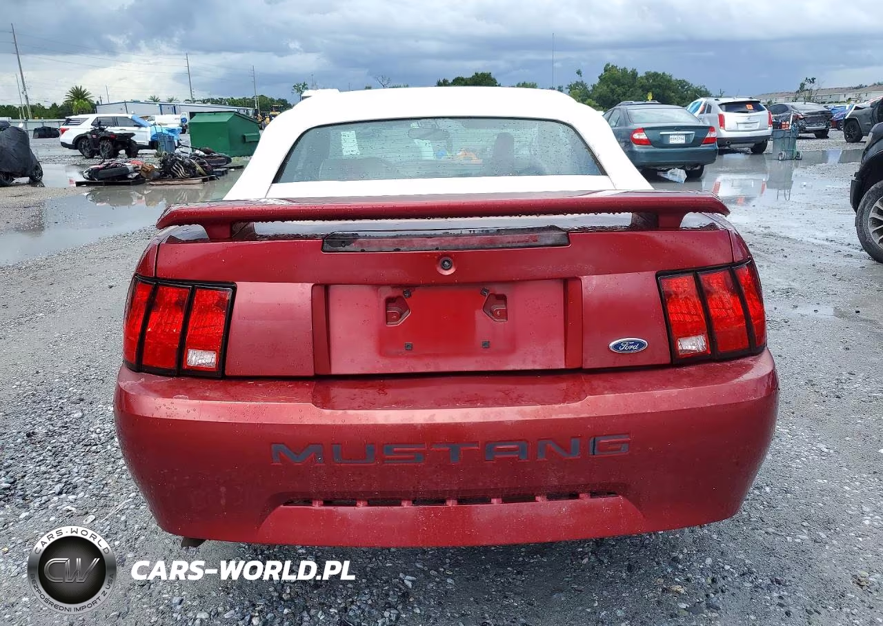 2003 Ford Mustang VIN:1FAFP44473F426639 - 6
