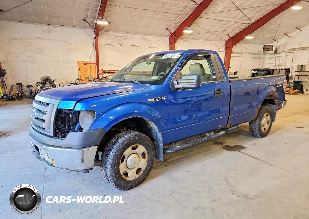 2009 Ford F150