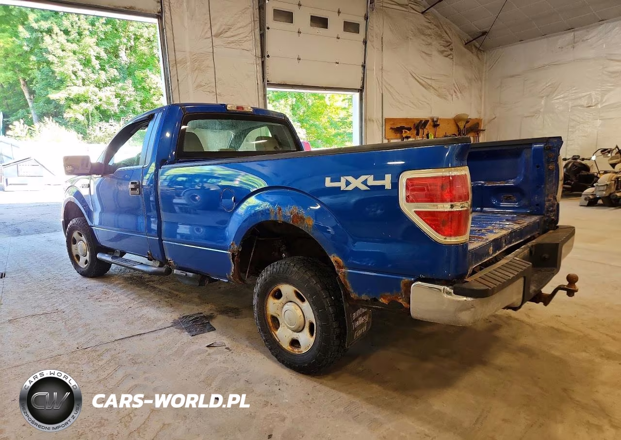 2009 Ford F150 VIN:1FTRF14W19KB66863 - 2