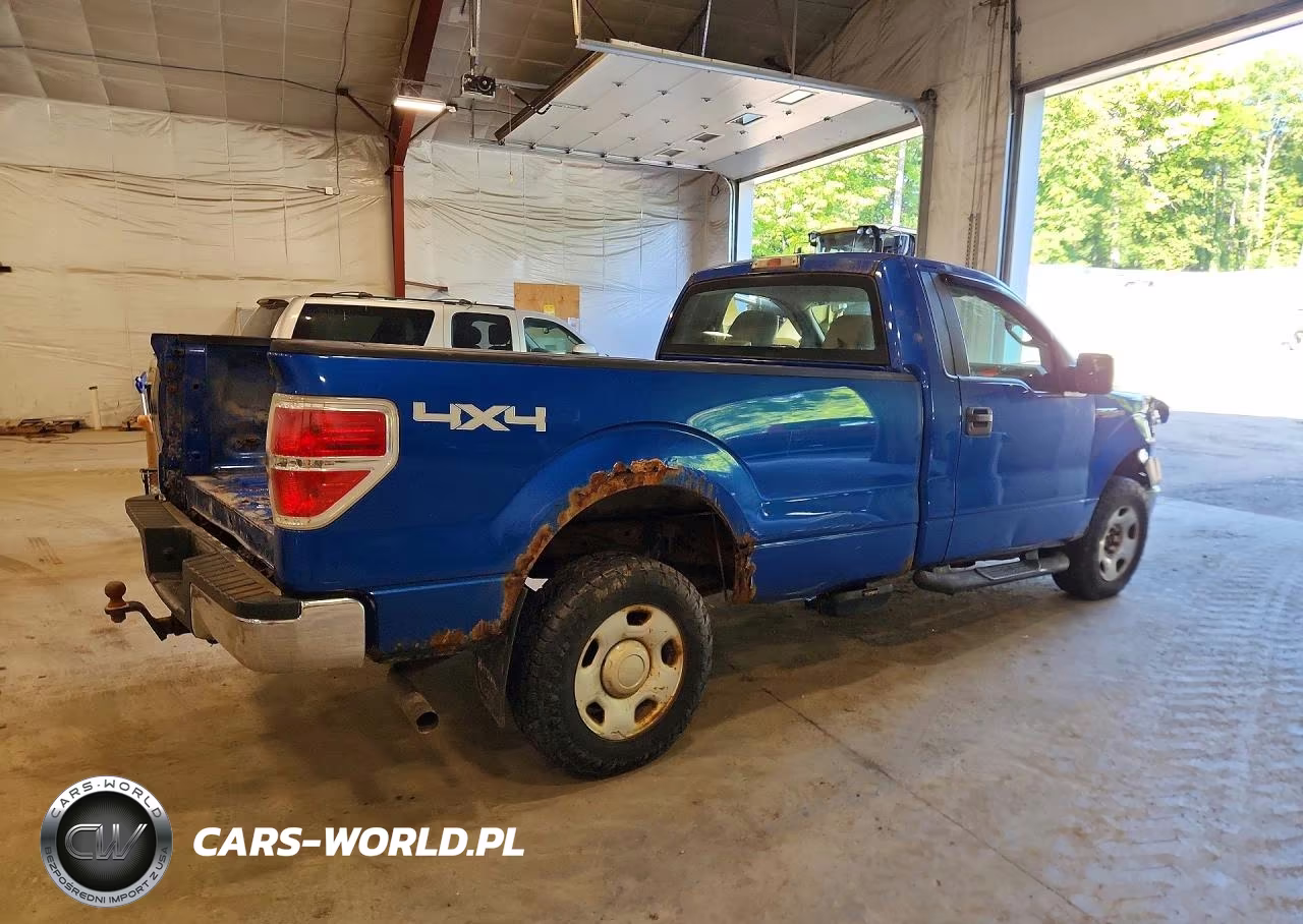 2009 Ford F150 VIN:1FTRF14W19KB66863 - 3