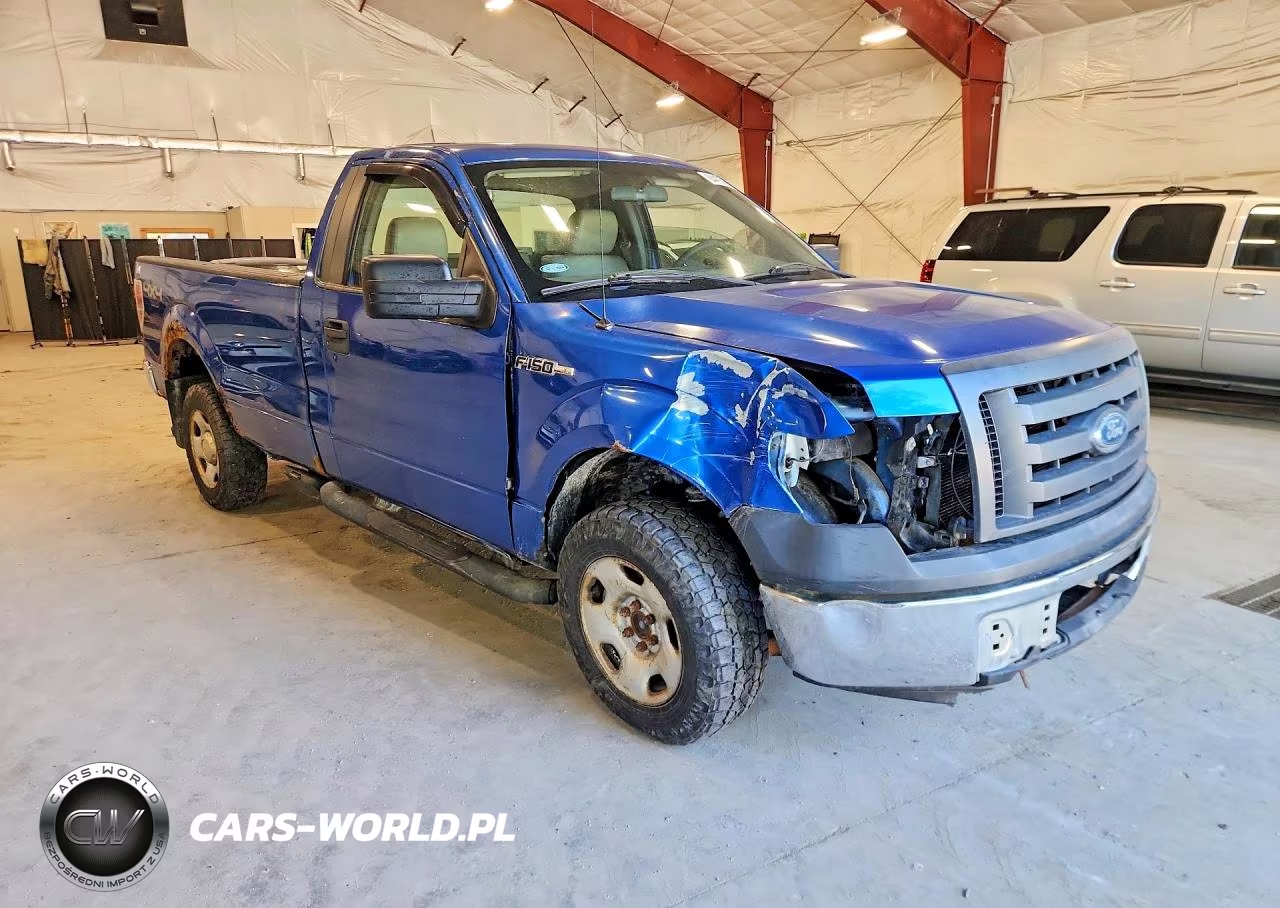 2009 Ford F150 VIN:1FTRF14W19KB66863 - 4