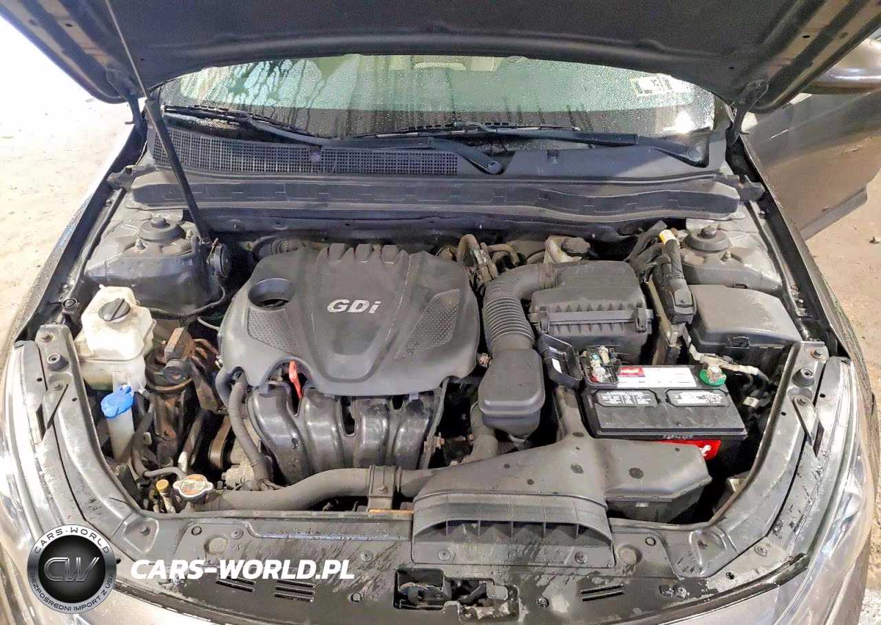2011 Kia Optima Lx VIN:KNAGM4A72B5065974 - 11