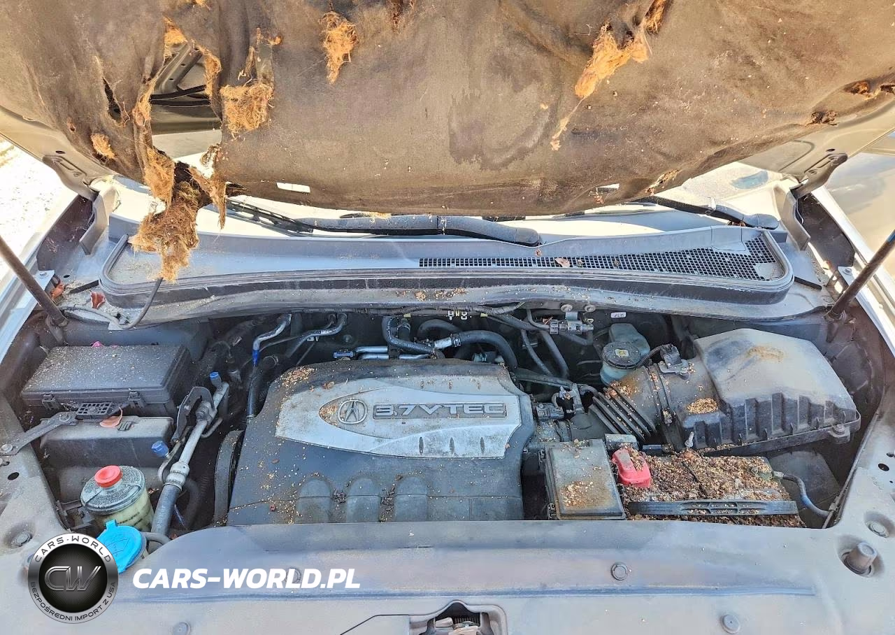 2009 Acura Mdx Technology VIN:2HNYD286X9H500472 - 12