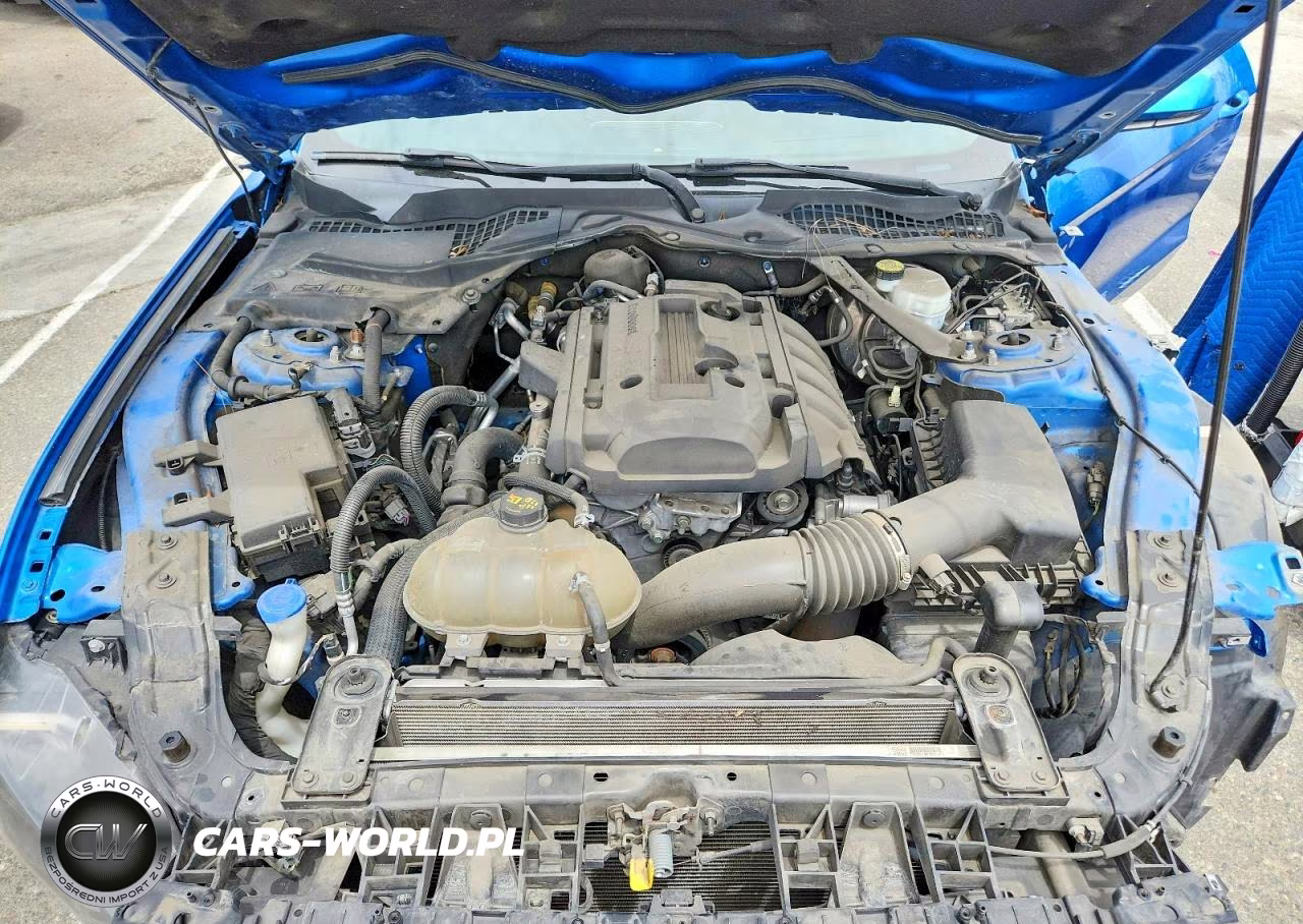 2020 Ford Mustang VIN:1FATP8UH6L5131843 - 11