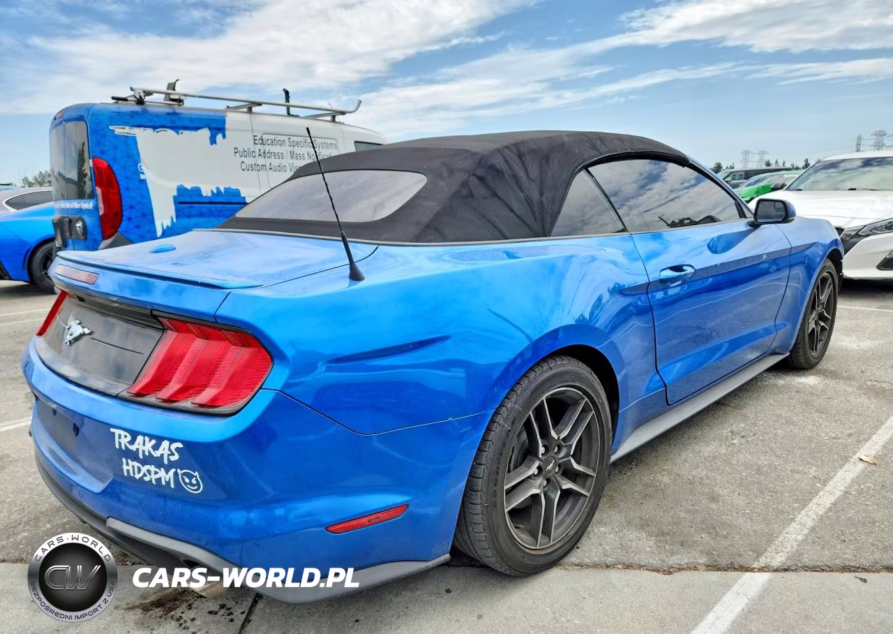 2020 Ford Mustang VIN:1FATP8UH6L5131843 - 3