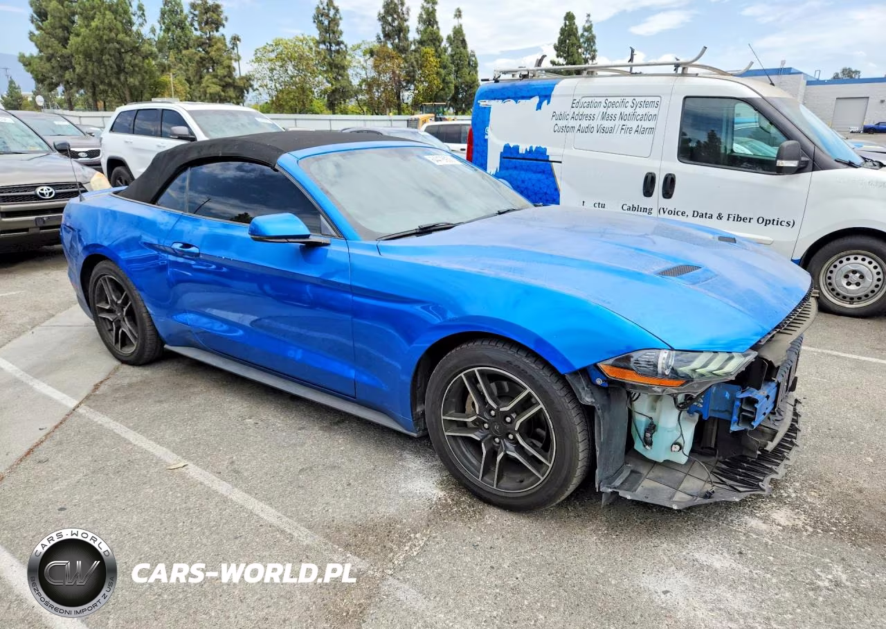 2020 Ford Mustang VIN:1FATP8UH6L5131843 - 4