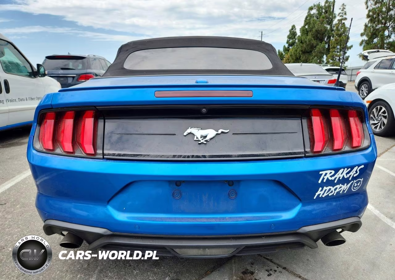 2020 Ford Mustang VIN:1FATP8UH6L5131843 - 6