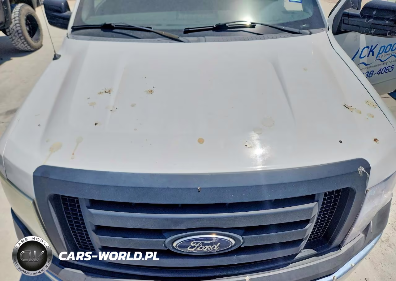 2011 Ford F150 VIN:1FTMF1CM5BKD31734 - 11