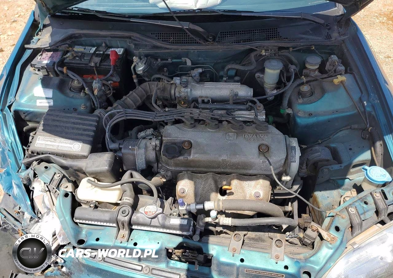 1995 Honda Civic Dx VIN:1HGEJ2128SL008901 - 11