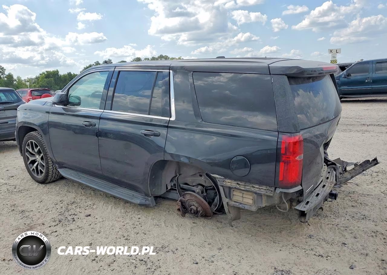 2020 Chevrolet Tahoe Police VIN:1GNLCDEC3LR304185 - 2