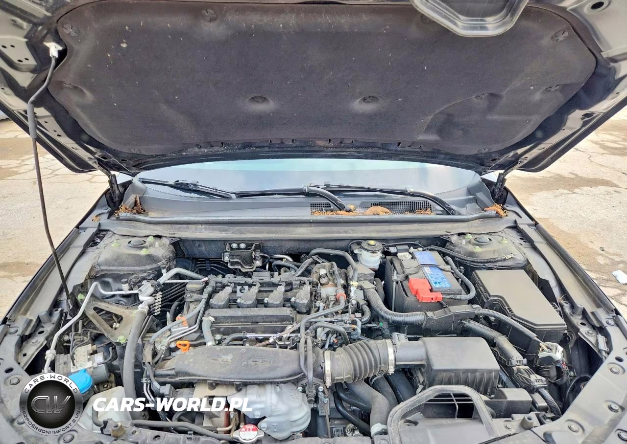 2023 Honda Accord Ex VIN:1HGCY1F36PA013757 - 11