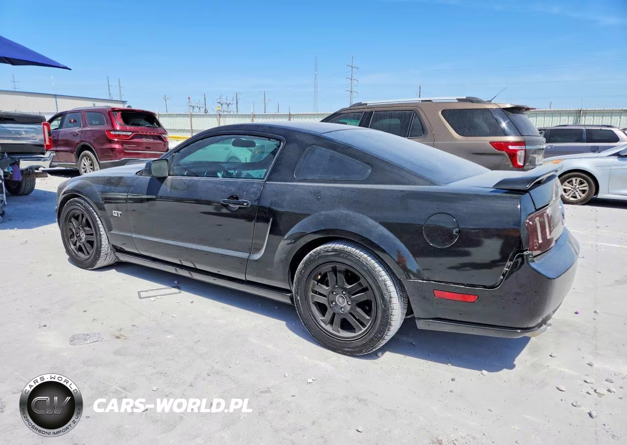 2005 Ford Mustang Gt VIN:1ZVFT82H955253926 - 2