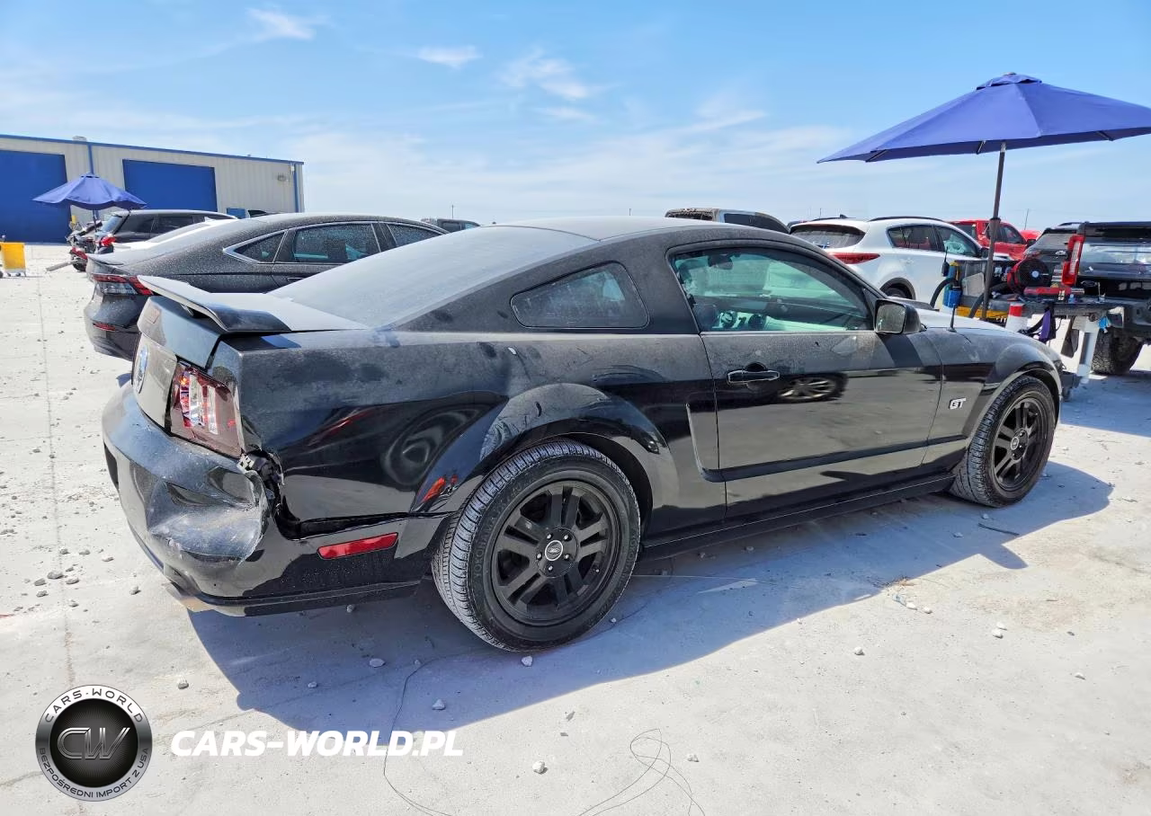 2005 Ford Mustang Gt VIN:1ZVFT82H955253926 - 3