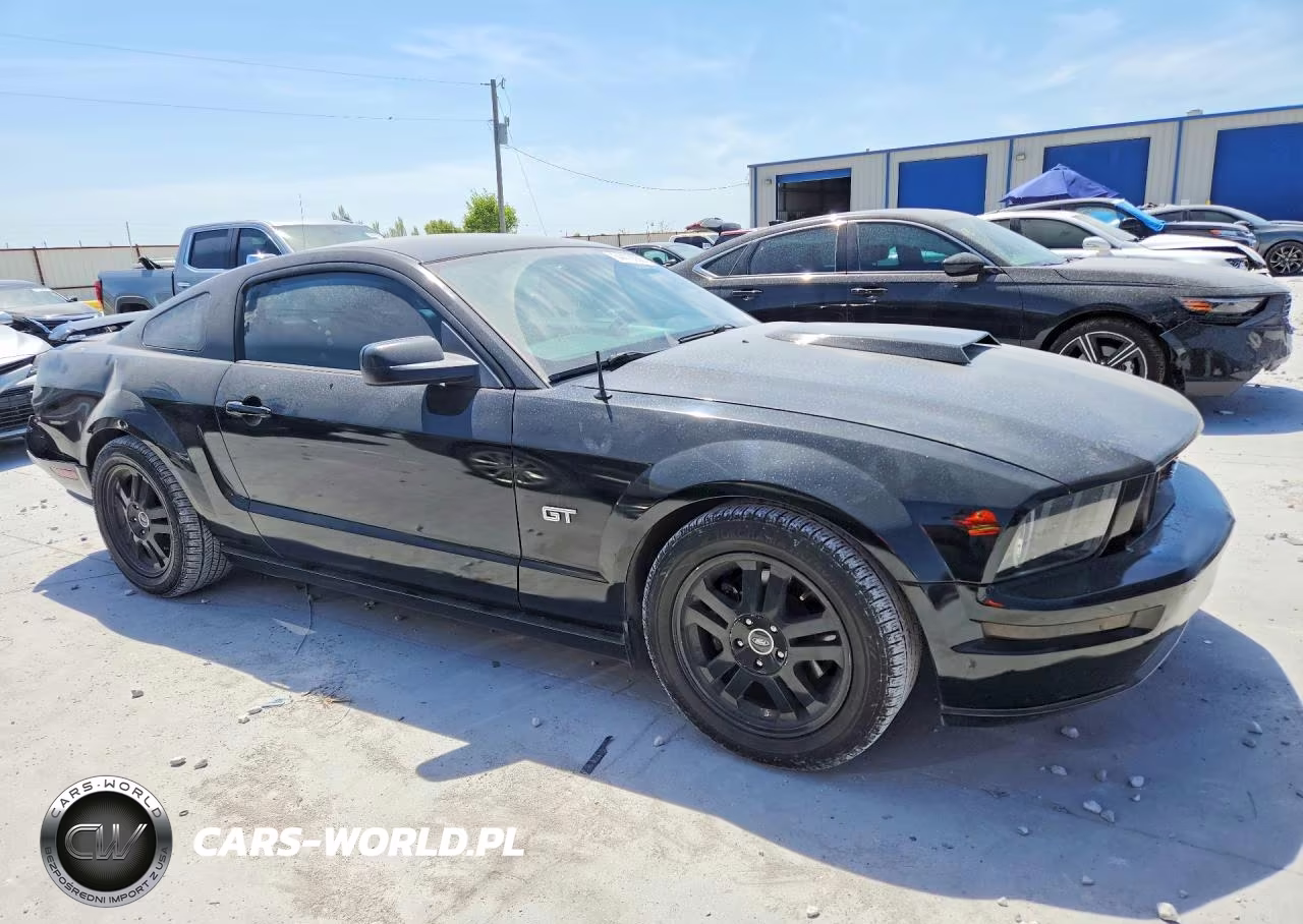 2005 Ford Mustang Gt VIN:1ZVFT82H955253926 - 4