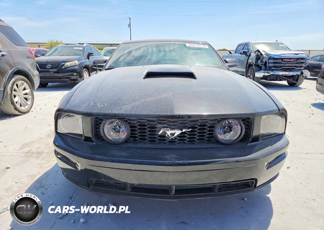 2005 Ford Mustang Gt VIN:1ZVFT82H955253926 - 5