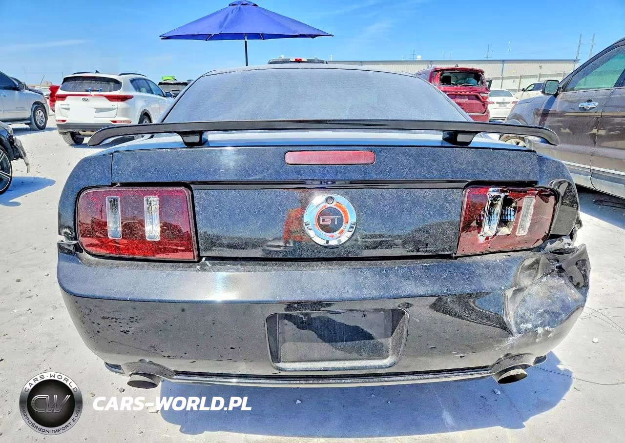 2005 Ford Mustang Gt VIN:1ZVFT82H955253926 - 6