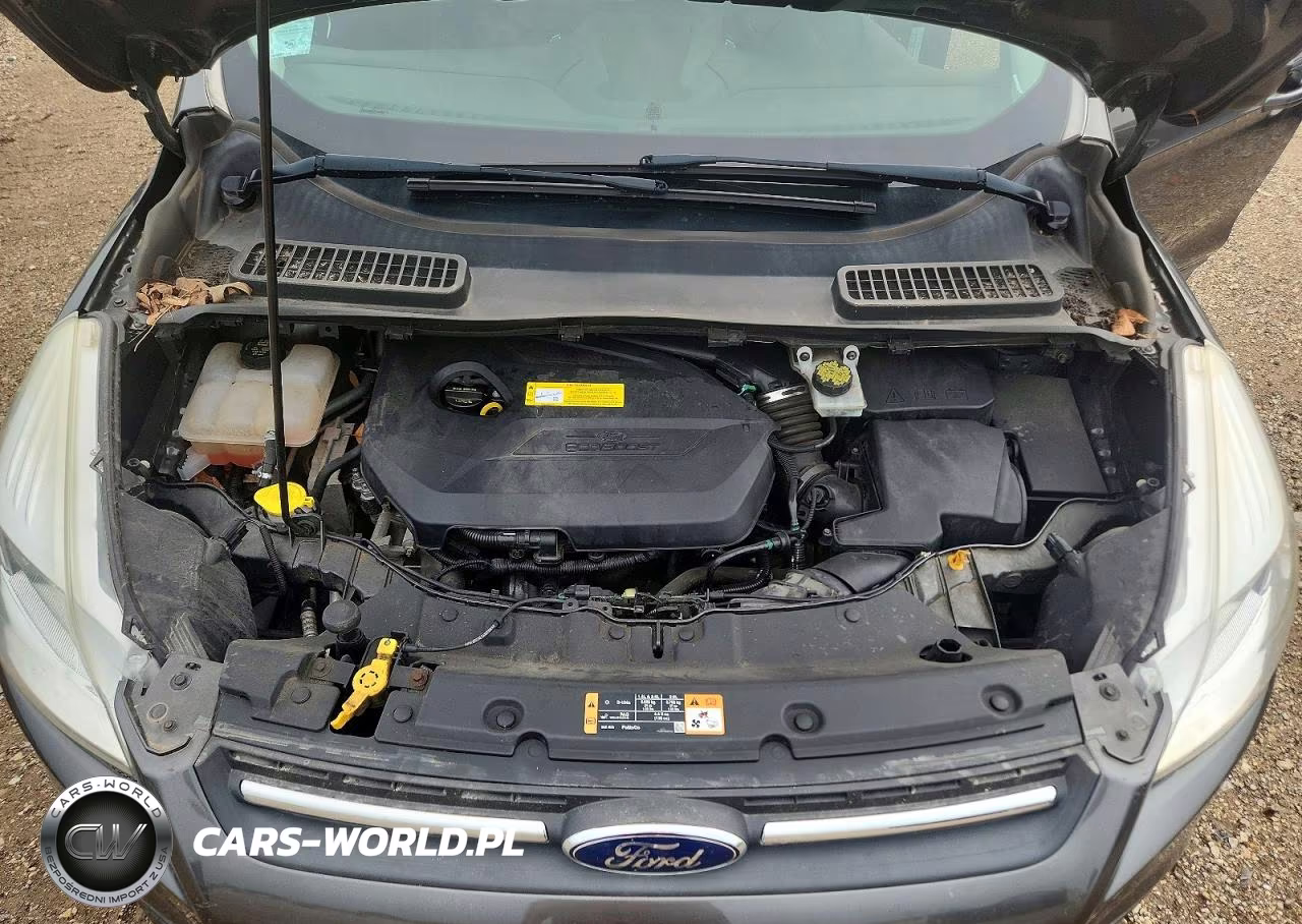 2016 Ford Escape Se VIN:1FMCU0GX2GUC56627 - 11