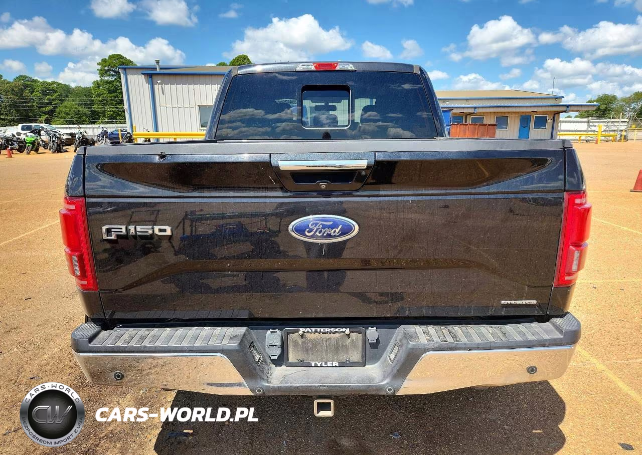 2015 Ford F150 Supercrew VIN:1FTEW1CF1FKE58735 - 6
