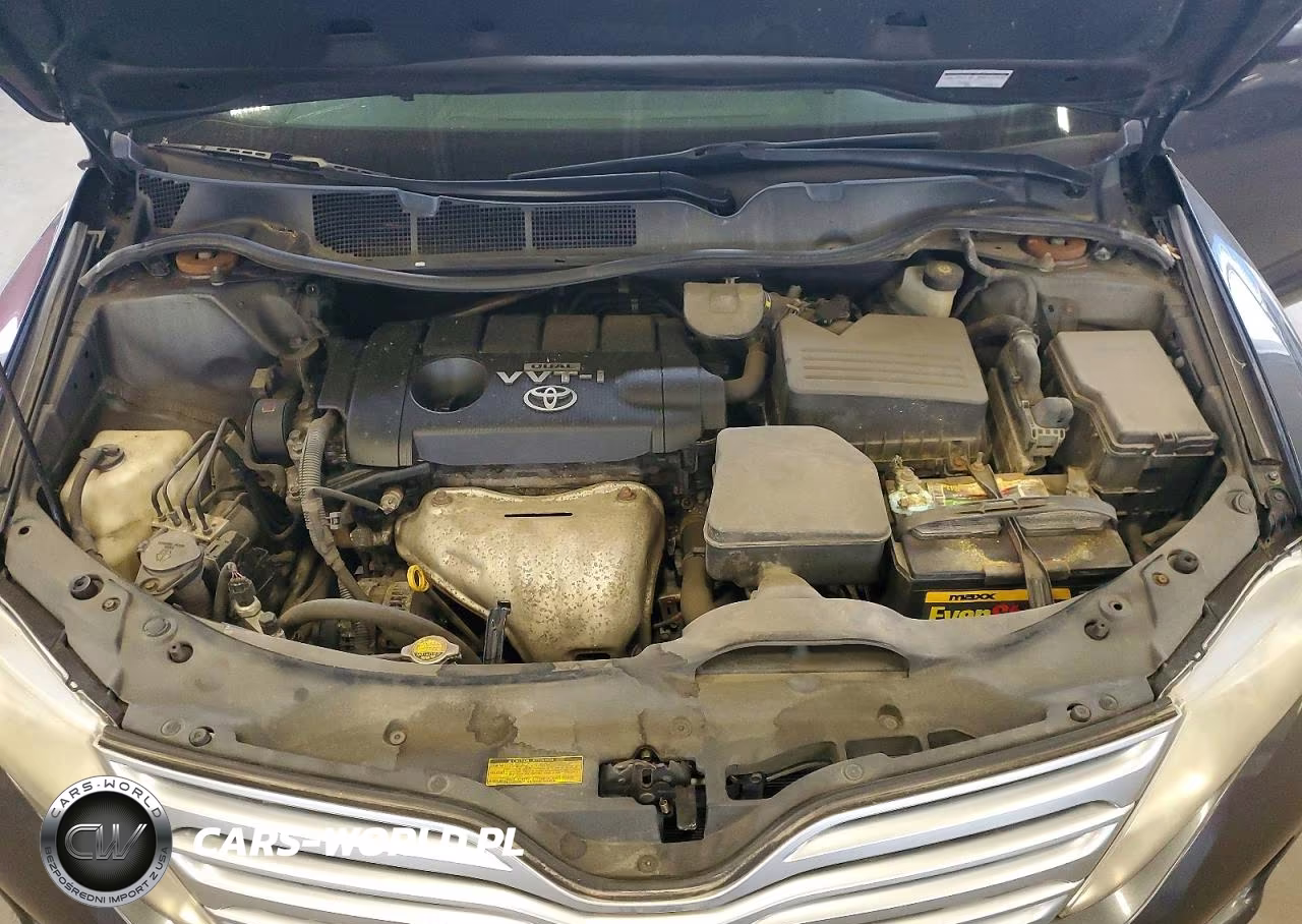 2009 Toyota Venza Fwd 4Cyl VIN:4T3ZE11A39U005336 - 12
