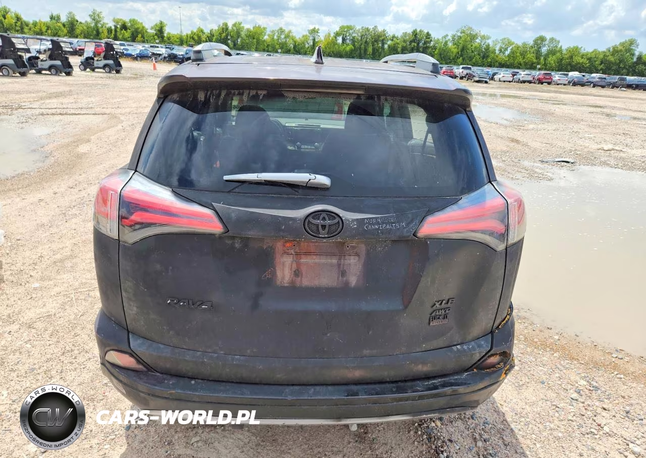 2017 Toyota Rav4 Xle VIN:2T3RFREV3HW613770 - 6