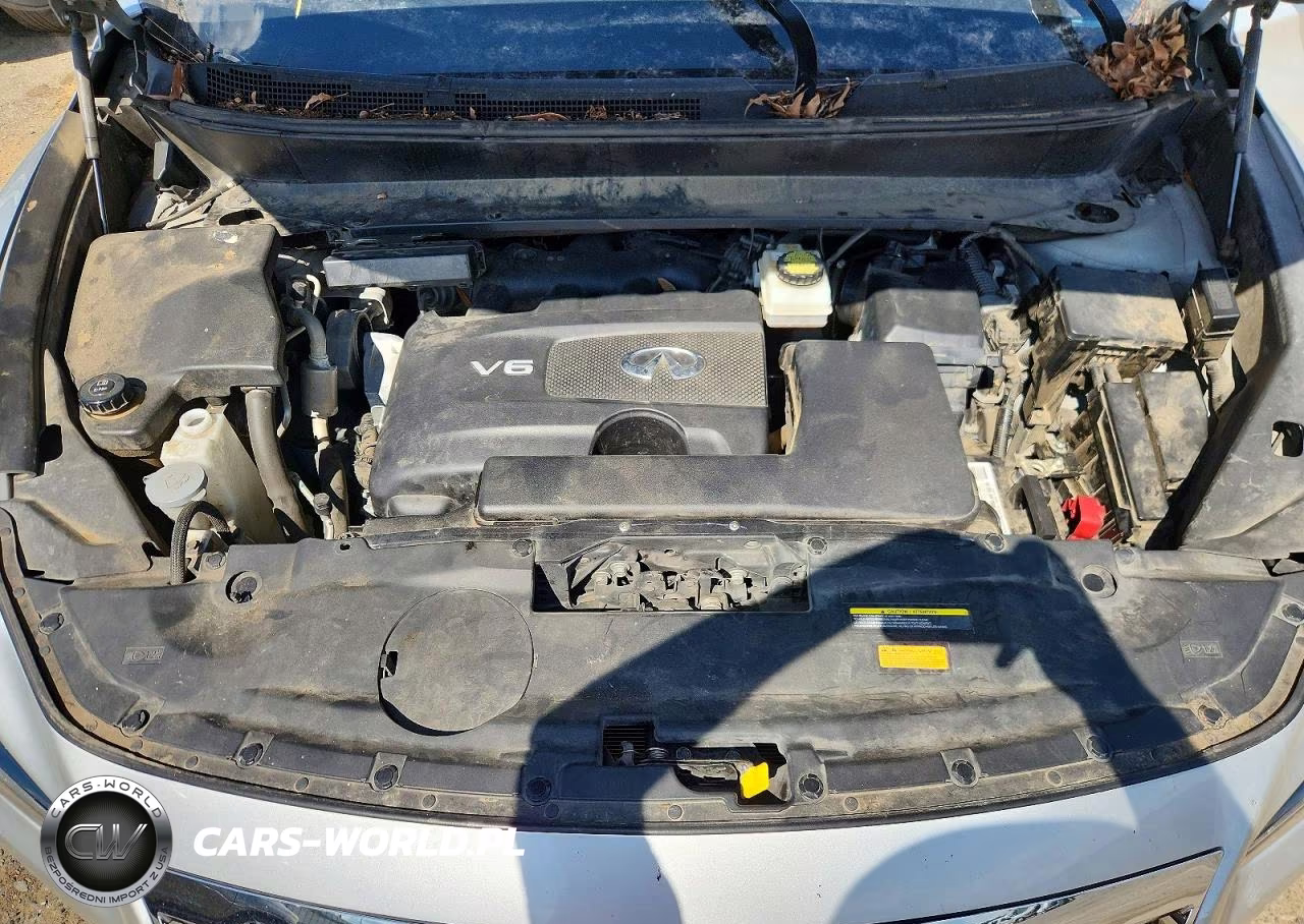 2019 Infiniti Qx60 Pure VIN:5N1DL0MN6KC554817 - 12