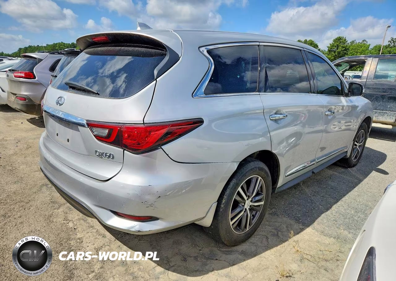 2019 Infiniti Qx60 Pure VIN:5N1DL0MN6KC554817 - 3