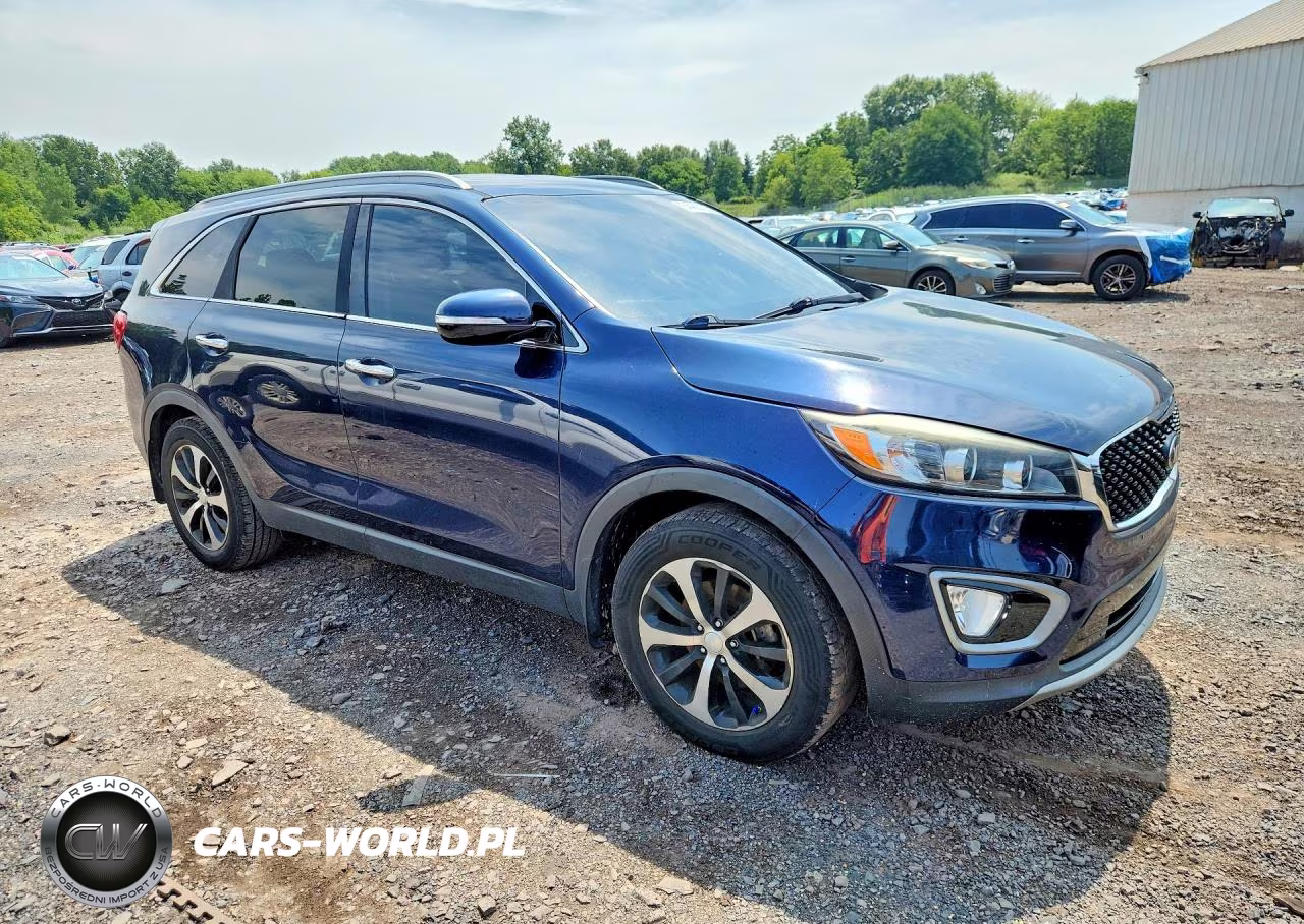 2016 Kia Sorento Ex VIN:5XYPH4A55GG150179 - 4