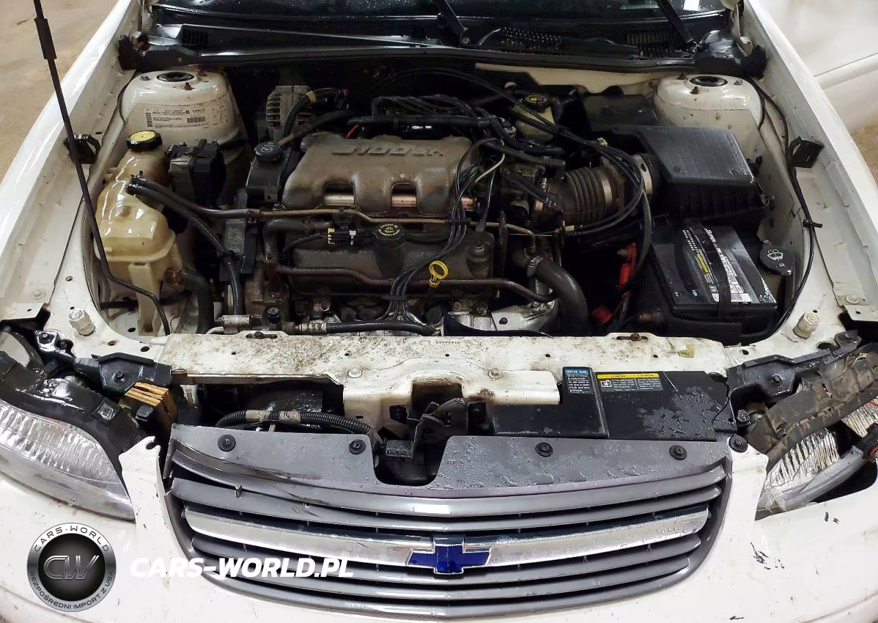 2002 Chevrolet Malibu VIN:1G1ND52J62M540602 - 11
