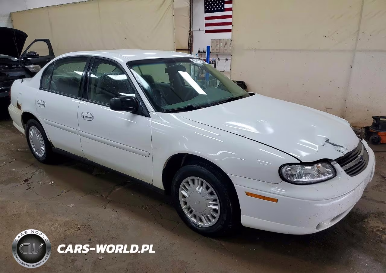 2002 Chevrolet Malibu VIN:1G1ND52J62M540602 - 4