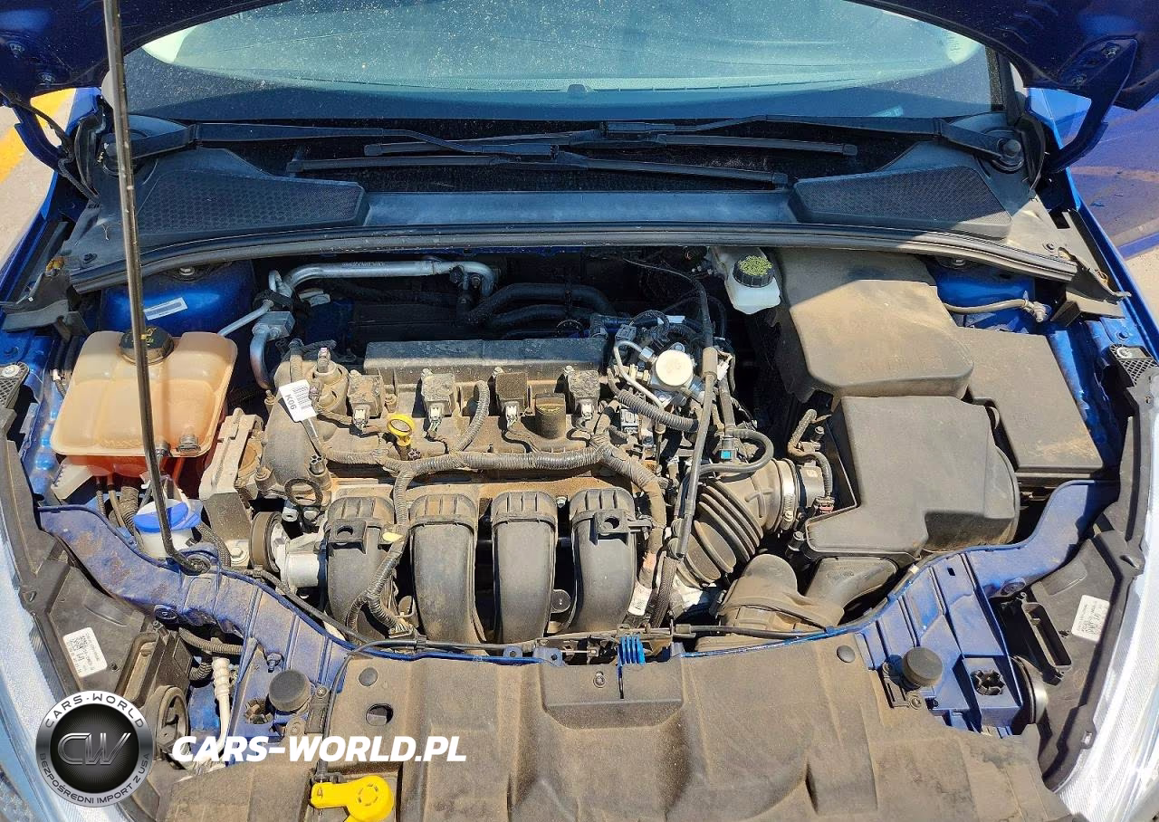 2018 Ford Focus Se VIN:1FADP3K24JL313328 - 11