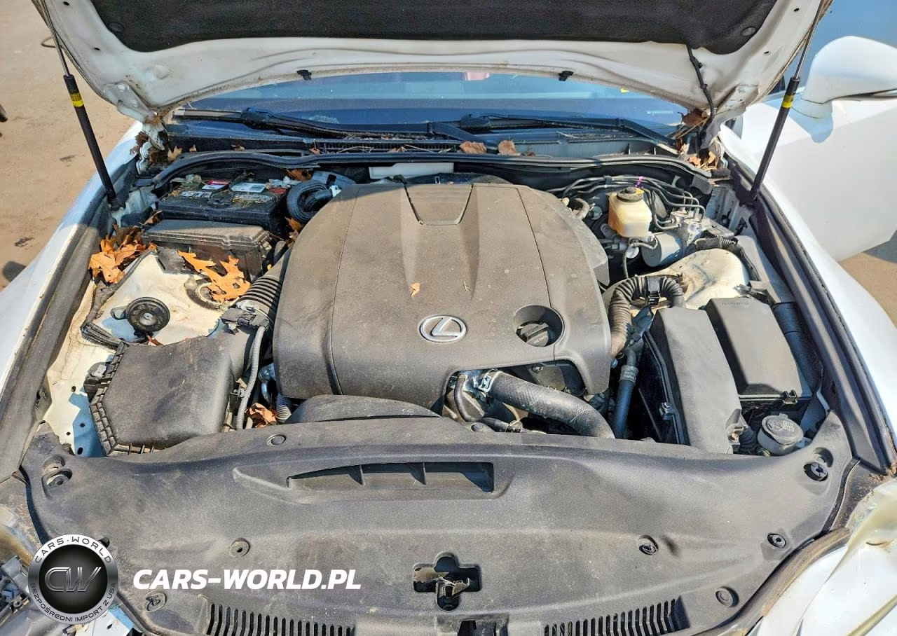 2014 Lexus Is 250 VIN:JTHBF1D29E5023407 - 11